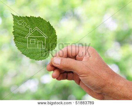 Eco huis Concept, hand Holding Eco huis pictogram In natuur