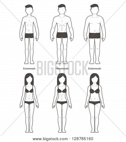 Male and female body types: Ectomorph Mesomorph and Endomorph. Skinny muscular and fat bodytypes. Fitness and health illustration.