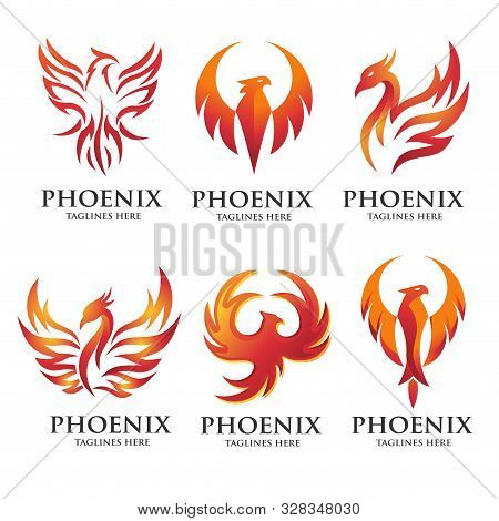 Luxury Phoenix Logo Concept, Best Phoenix Bird Logo Design, Phoenix Vector Logo, Creative Logo Of My