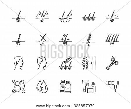 Hair Loss Treatment Flat Line Icons Set. Shampoo Ph, Dandruff, Hair Growth, Keratin, Conditioner Bot