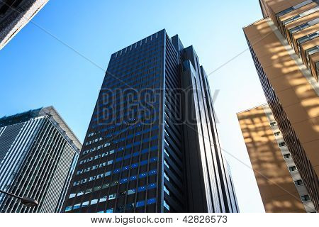 High-rise buildings in the city