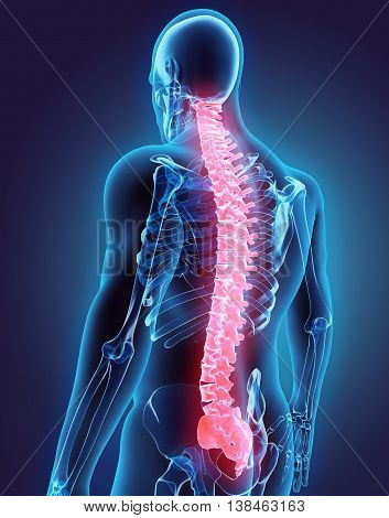 3D Illustration Of Spine, Medical Concept.