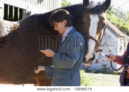 Vet Examining Horse With Stethescope