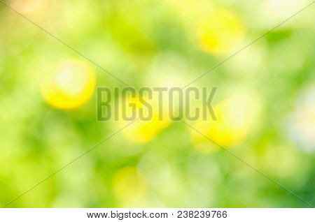 Natural green yellow blurred background. Green yellow bokeh on nature defocus abstract blur background. Abstract background in yellow and green tones. Natural outdoors bokeh background in green and yellow tones. Defocused bokeh lights. Blurred bokeh. Boke