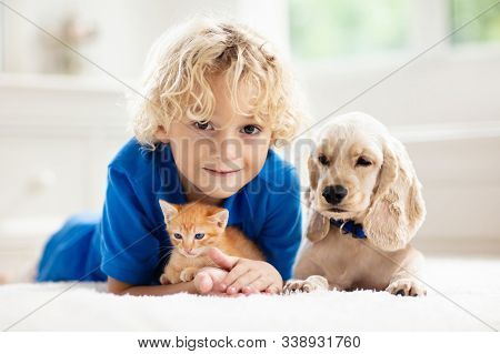 Child, Dog And Cat. Kids Play With Puppy, Kitten.