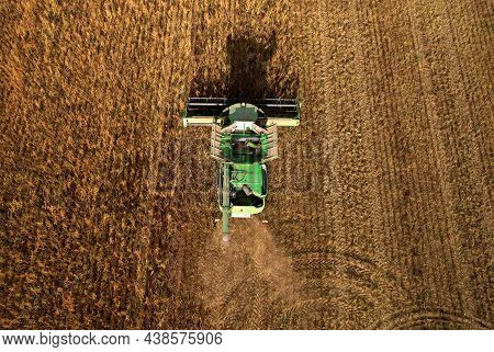 Combine Harvester Working On Harvesting Rapeseed, Aerial View. Farm Harvest Season In Rural. Harvest