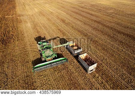 Combine Harvester Working On Harvesting Rapeseed, Aerial View. Farm Harvest Season In Rural. Harvest