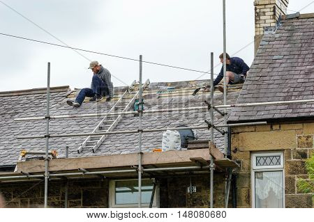 WREXHAM WALES UNITED KINGDOM - AUGUST 11 2016: Restoration of decorative slate roof on a residential terraced house in North Wales. With two skilled roofers.