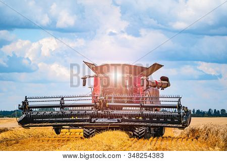 Special Machine Harvesting Crop In Fields, Agricultural Technic In Action. Ripe Harvest Concept. Cro