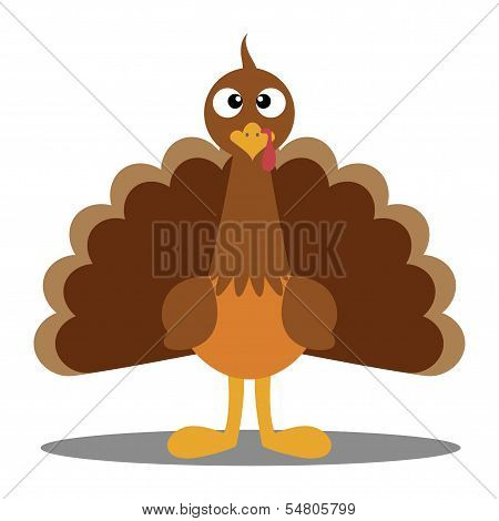 Turkey Cute Cartoon