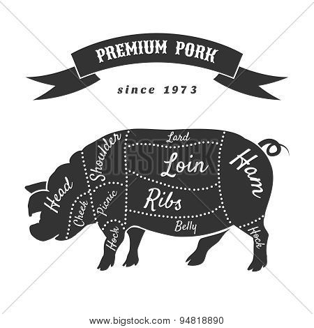 Vector cuts of pork or butcher scheme pig