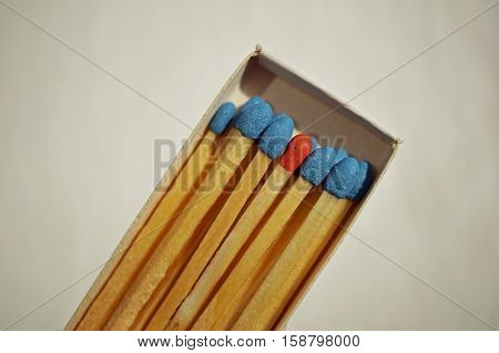 Macro detail of a box of matches (matchbox) full of matches with blue top and one different with a red top as a symbol of difference, differentness and dissimilarity