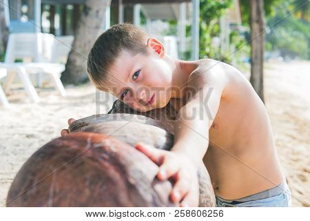 Caucasian Boy Has Collected Coconuts On Beach Natural Product Food Of Thailand Brown Coconut Or Coco