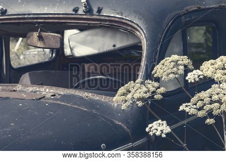 Parts Of Old Abandoned Rusty Vehicles, Crushed Cars In Scrapyard, Junk Yard Needed To Be Utilised An