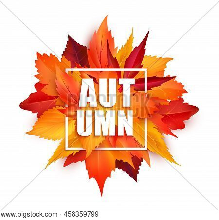 Realistic Autumnal Leaves, Autumn Season Leaf Fall Background, Vector Banner. Autumnal Leaves For Sa