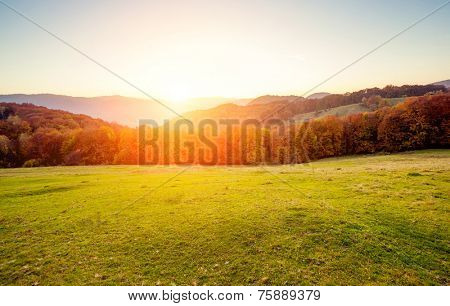 Majestic motley forest with sunny beams. Natural park. Dramatic unusual scene. Red and yellow autumn leaves. Carpathians, Ukraine, Europe. Beauty world.