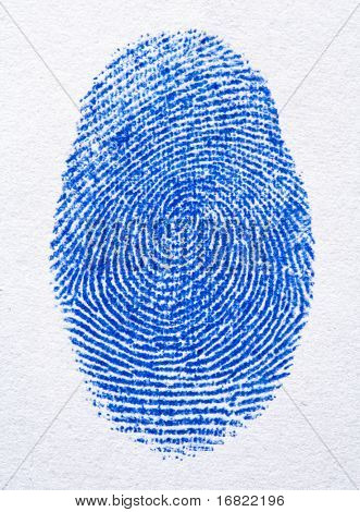 close up image of blue finger print