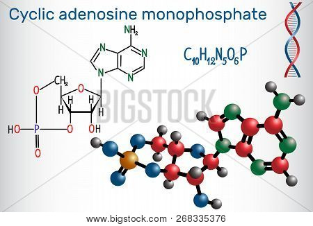 Cyclic Adenosine Monophosphate (camp) Molecule, It Is A Derivative Of Adenosine Triphosphate (atp) A