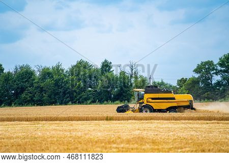 Special Machine Harvesting Crop In Fields, Agricultural Technic In Action. Ripe Harvest Concept. Cro