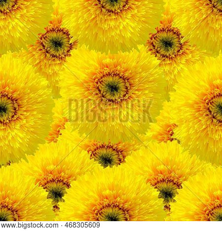 Yellow Seamless Background Of Sunflowers. Endless Floral Pattern.