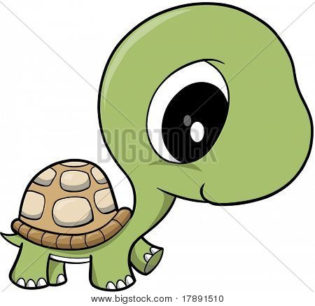 Baby Turtle Vector Illustration