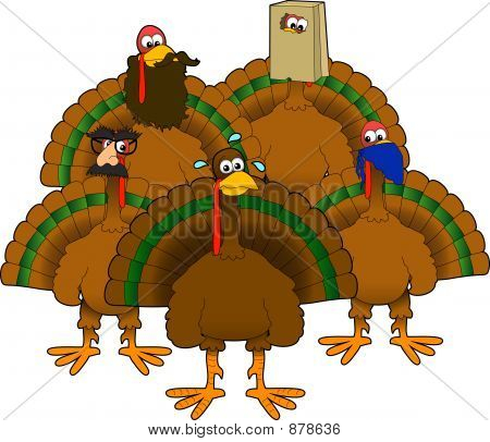 Disguised_Turkeys