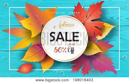 Hello Autumn Sales banner, Sale Vector illustration. Fall sales season voucher with realistic drawing maple leaves, leaf fall, wood texture, water drops. Thanksgiving Holiday decoration. Maple tree leaves, lettering, wooden texture.