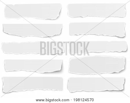 Set of elongated torn paper fragments isolated on white background