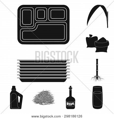 Vector Design Of Sucrose And Technology Sign. Collection Of Sucrose And Cane Stock Vector Illustrati