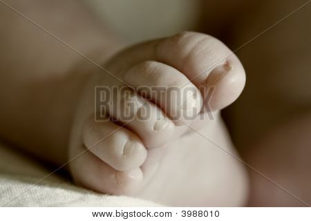 Baby'S Feet