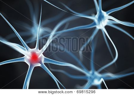 Neurons in the brain