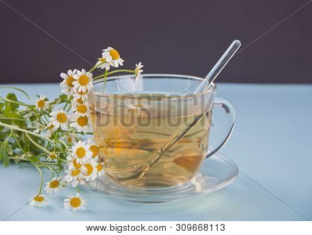 Glass Of Healthy Herbal Camomille Tea. Naturopathy. Matricaria Chamomilla.