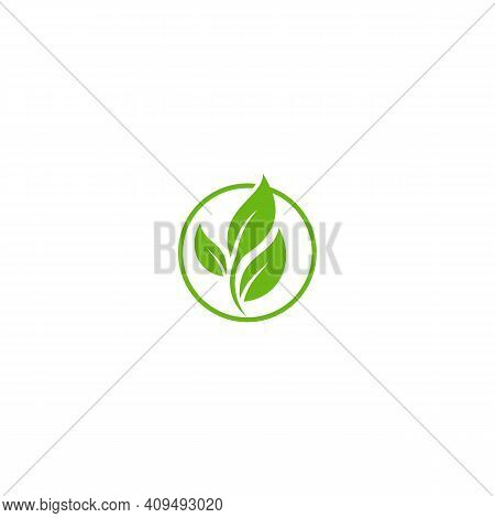 Leaf. Leaf Logo. Leaf Vector. Leaf Logo Vector. Leaves Logo. Leaf Vector Logo. Vector Leaf Logo. Nat