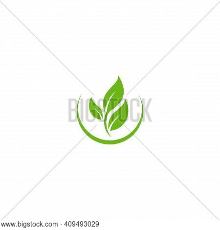 Leaf. Leaf Logo. Leaf Vector. Leaf Logo Vector. Leaves Logo. Leaf Vector Logo. Vector Leaf Logo. Nat