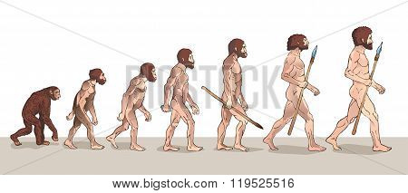 Human Evolution. Man Evolution. Historical Illustrations. Human Evolution Vector Illustration. Progress Growth Development. Monkey. Neanderthal. Homo Sapiens. Primate With Weapon and History.