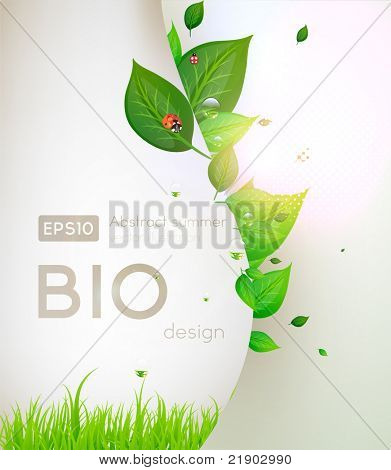 Bio concept ontwerp eco vriendelijke voor zomer floral banner