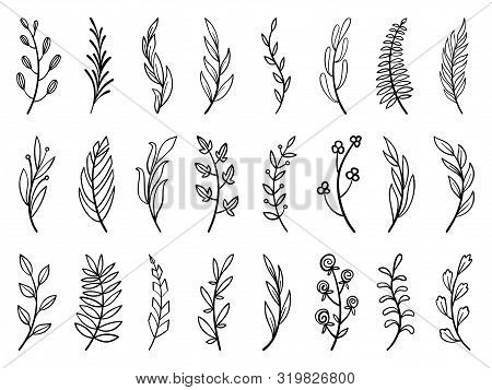 Wreath Floral Branch In Hand Drawn Style. Outline Doodle Icons Set. Flower Line Sign Scribble Brush 