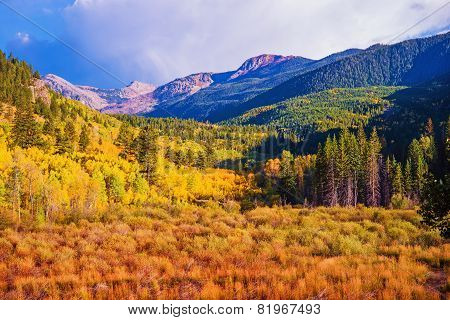 Scenic Aspen Lanscape