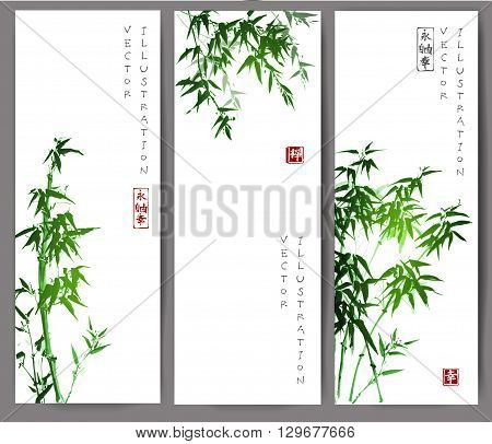 Three banners with green bamboo trees. Vector illustration. Traditional Japanese ink painting sumi-e. Contains hieroglyph - happiness.