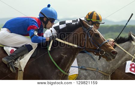 Horse race for the prize Sravnenia in Pyatigorsk,Caucasus,Russia.