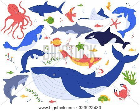 Ocean Animals. Cute Fish, Orca, Shark And Blue Whale, Marine Animals And Sea Creatures Illustration 