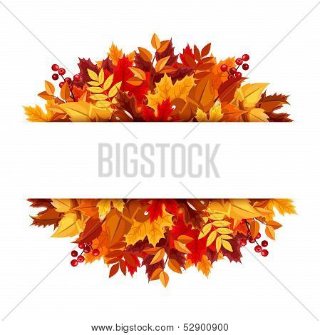 Autumn leaves background. Vector illustration.