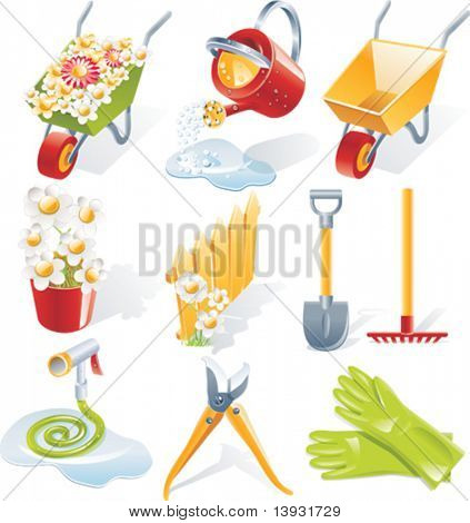 Vektor-garten-ringelblume-Icon-set