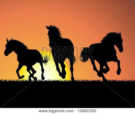 Horse silhouette on sunset background. Vector illustration.