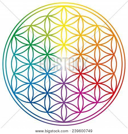 Flower Of Life In Rainbow Colors. Geometrical Figure, Spiritual Symbol, Sacred Geometry. Overlapping