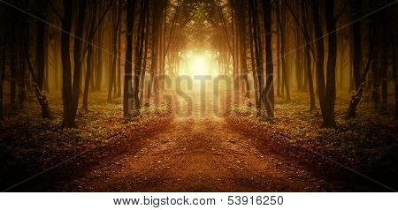 Symmetrical image of a road with light at the end in a forest with fog in autumn