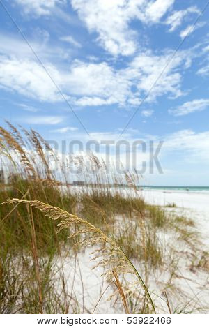 Siesta Key Florida