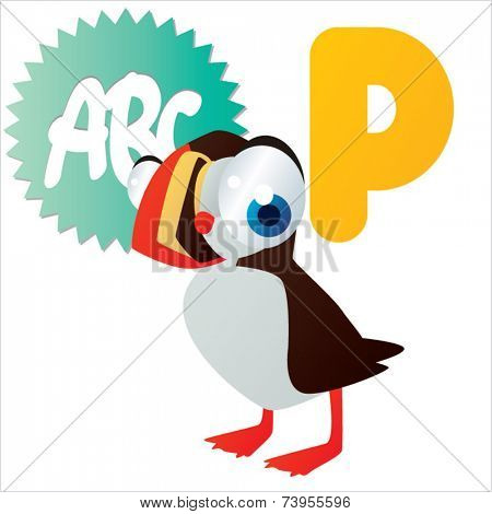 P is for Puffin Bird