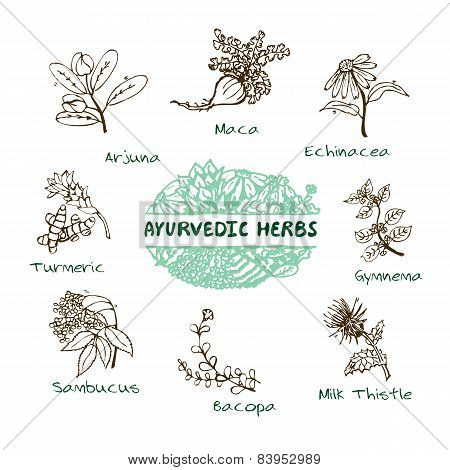 Ayurvedic herbs collection