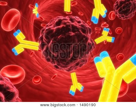 Bir kanser hücresi saldıran antikorlar